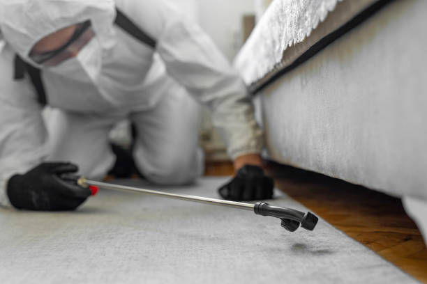 Professional Pest Control technician working in Linn County County, MO